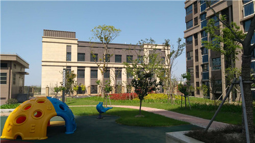 ���������ܽ��Ħ